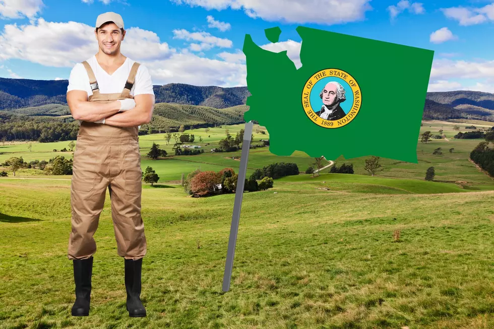 Washington’s Largest Private Landowner Will Surprise You